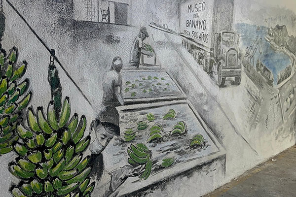 Museo del Banano