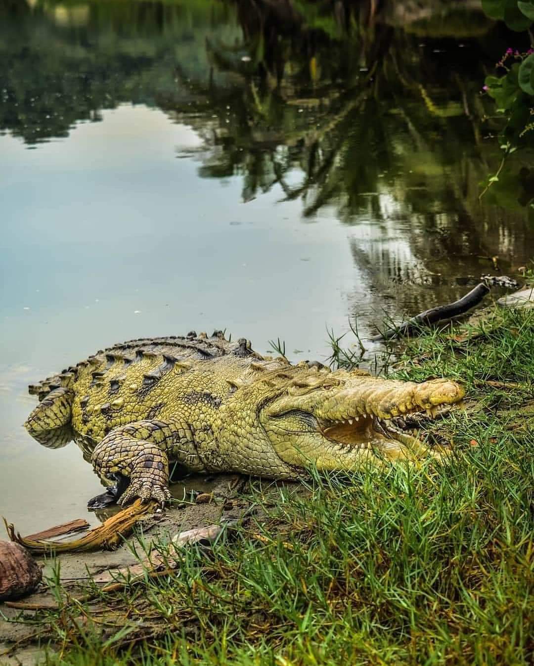 naturaleza exótica